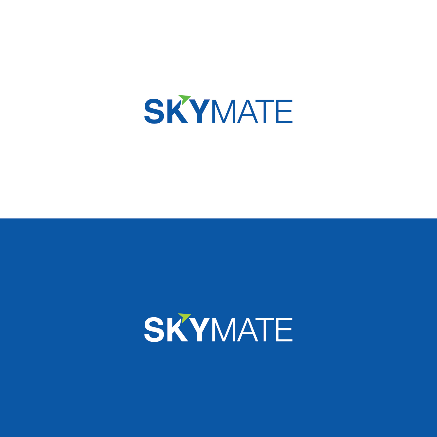 Logo Design by Muhammad Imran 3 for DigiSky srl | Design #19086842