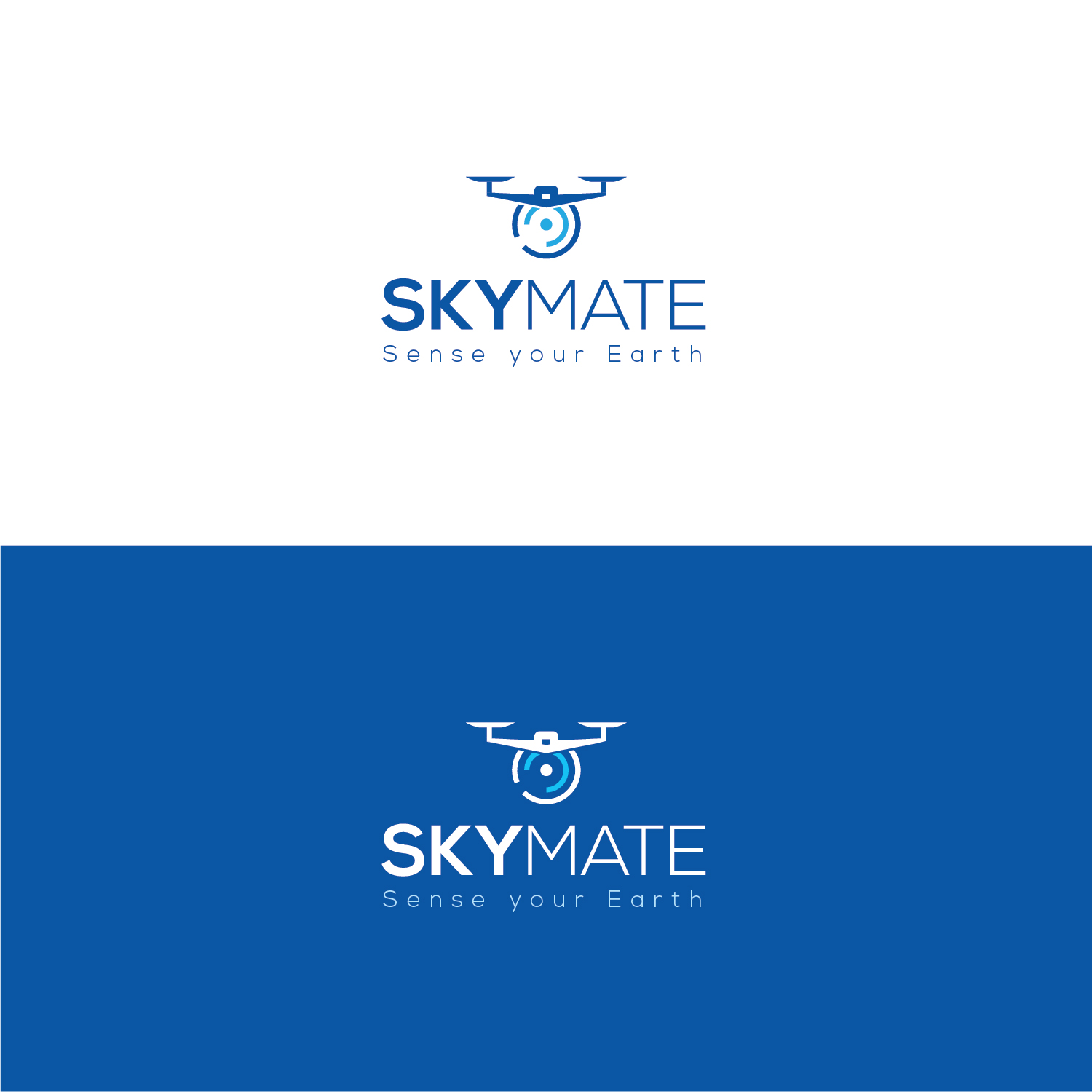 Logo Design by Muhammad Imran 3 for DigiSky srl | Design #19094866