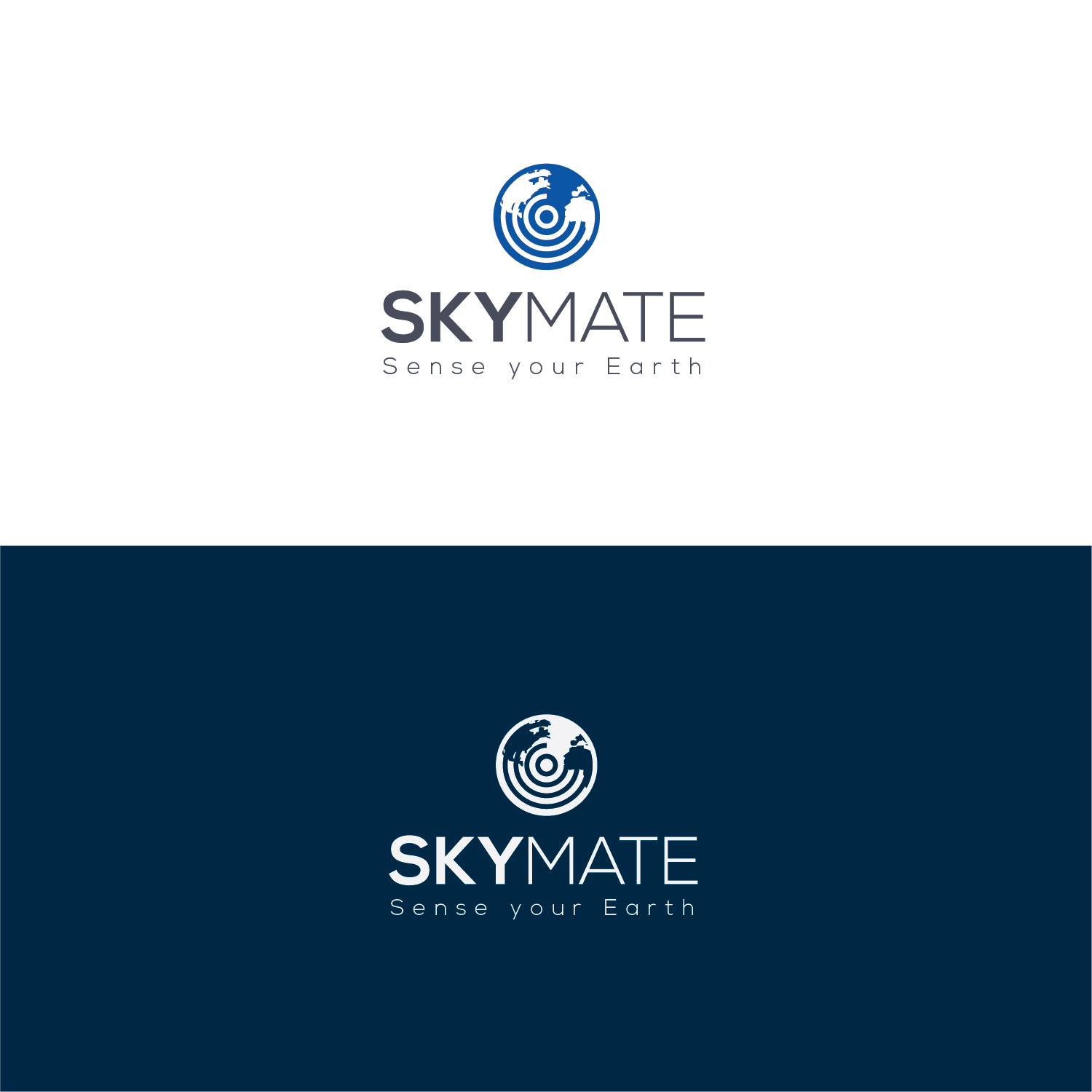 Logo Design by Muhammad Imran 3 for DigiSky srl | Design #19106650