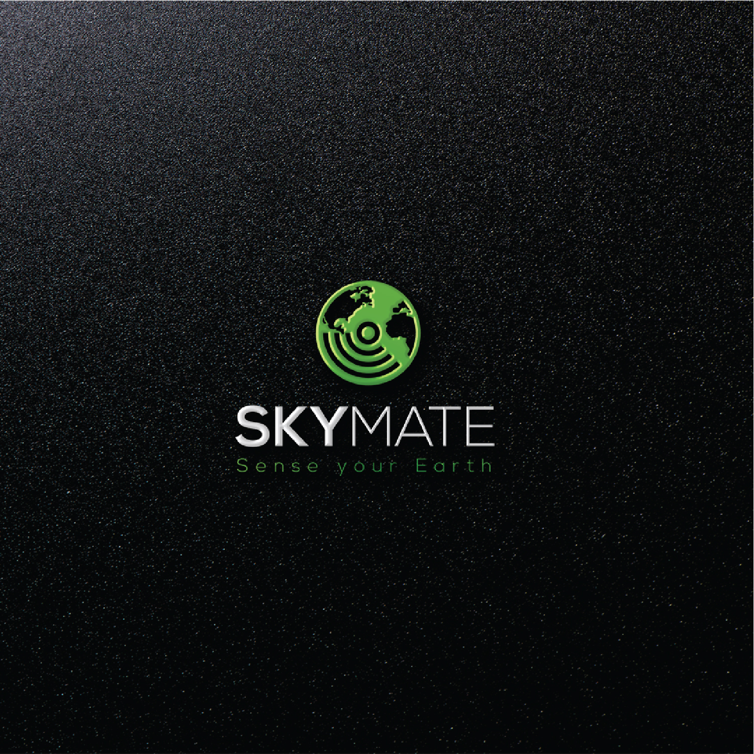 Logo Design by Muhammad Imran 3 for DigiSky srl | Design #19121881