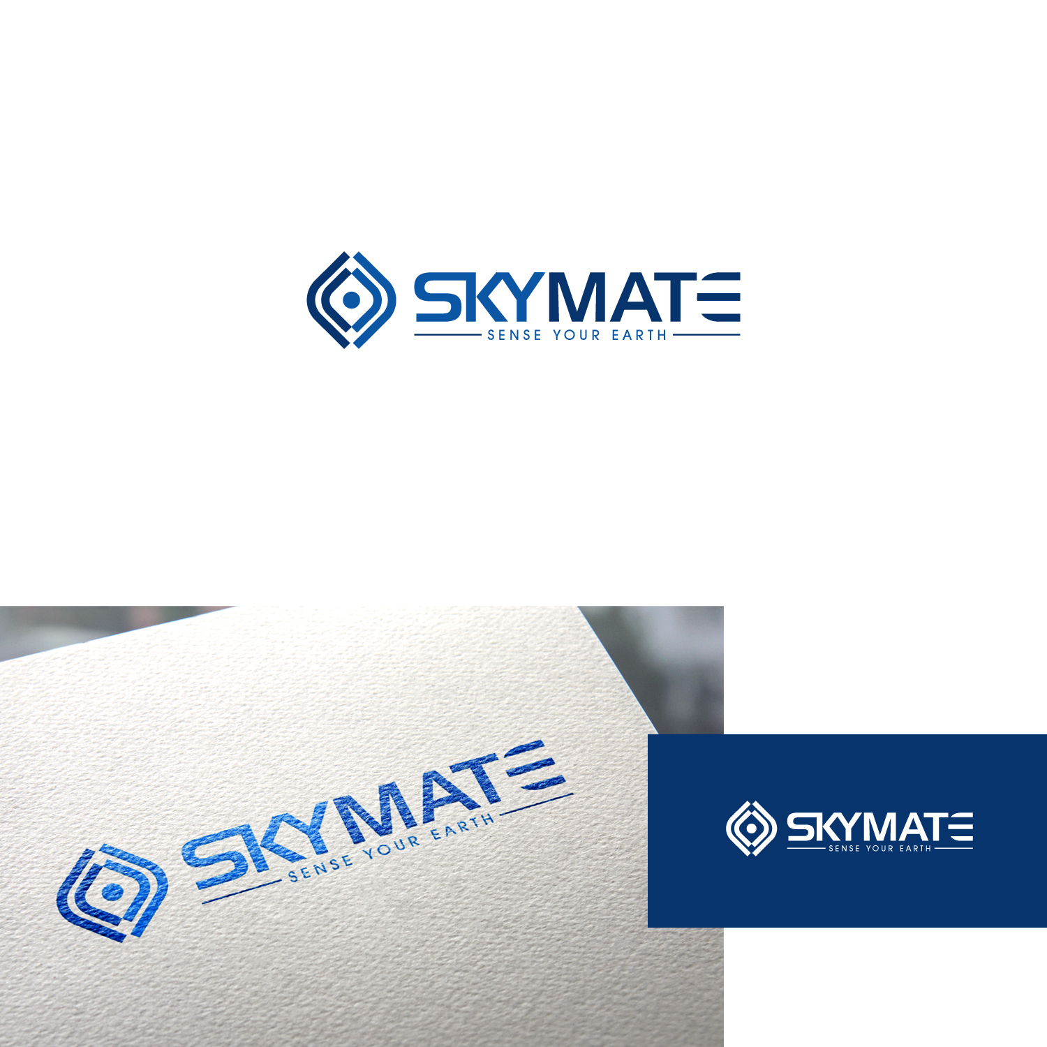 Logo Design by Maxo-Biz for DigiSky srl | Design #19087658