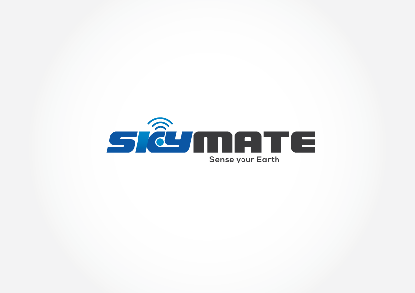 Logo Design by Sofia Pereira for DigiSky srl | Design #19103879