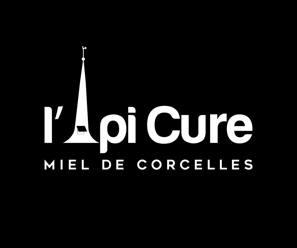 Diseño de Logo por IconicEcho para este proyecto | Diseño #19104339