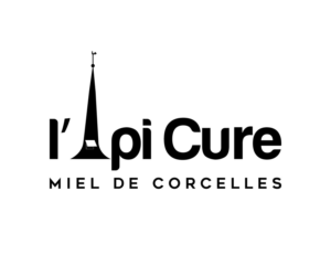 Diseño de Logo por IconicEcho para este proyecto | Diseño: #19104340