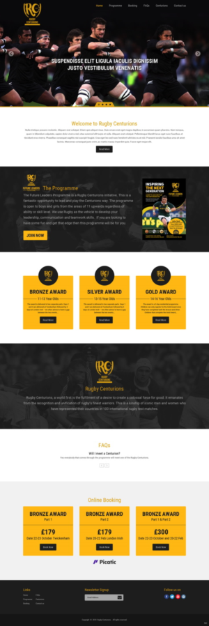 Diseño Web por pb para Net Performance | Diseño: #19106080