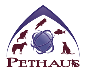 Logo Design by avdeeva.alex