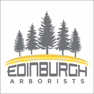 Logo Design by Ayanne