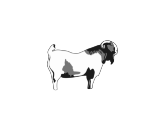 Logo Design by Tt design for Grey Goat Supply Ltd., | Design: #19099056