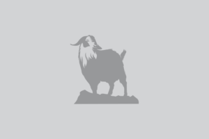 NO TEXT IN LOGO! ONLY PICTURE OF GOAT  | Logo Design by Farqaleit™