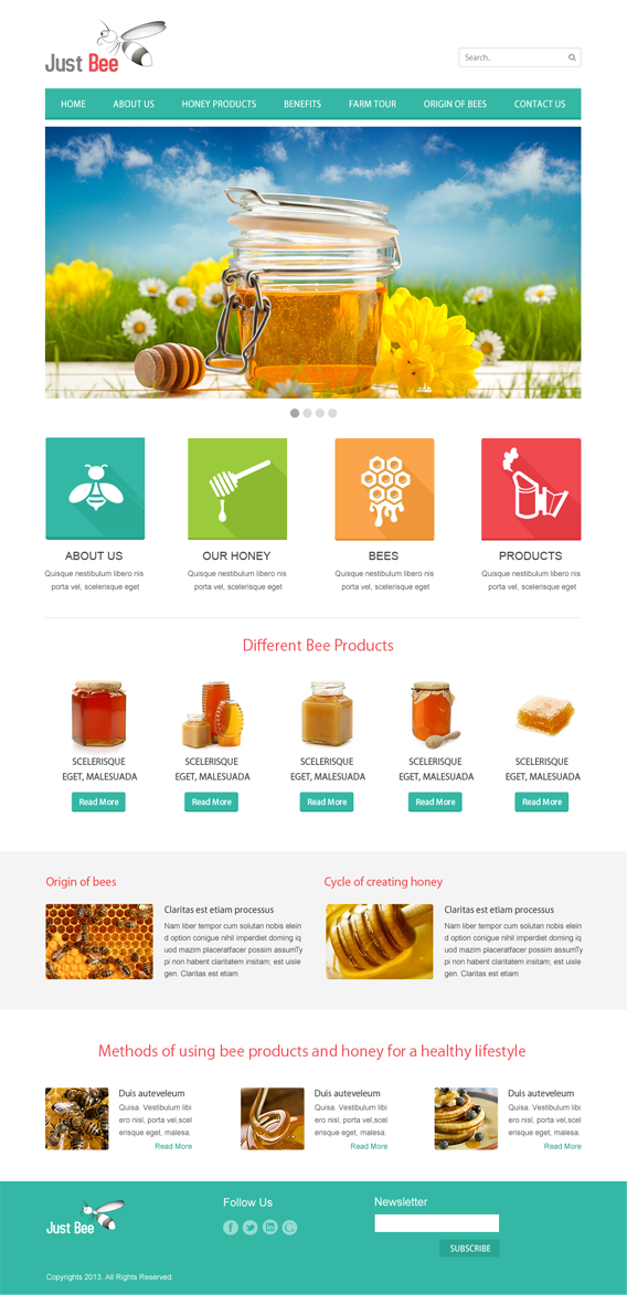 Web Design by Infinity Pix for Just Bee Co. | Design #2873602
