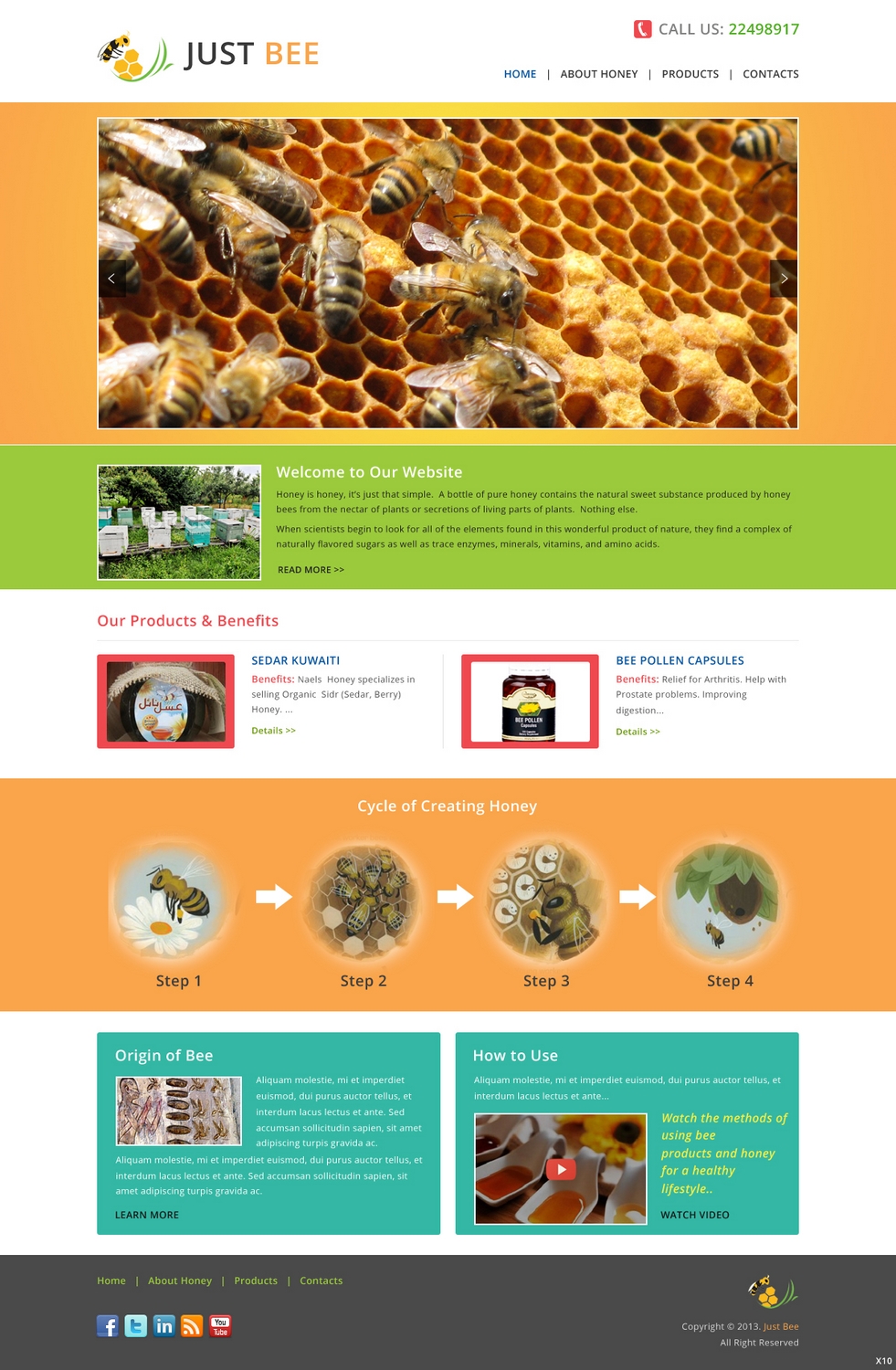 Web Design par pb pour Just Bee Co. | Design #2866958