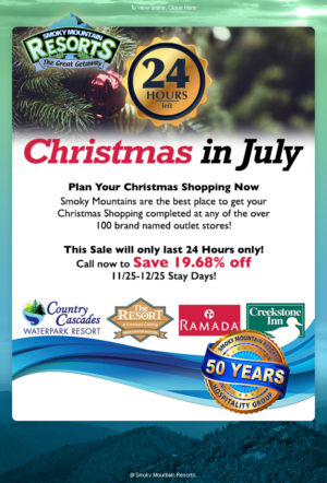 Email Marketing Design by kaue outspace for Smoky Mountain Resorts | Design: #19152092
