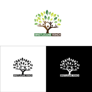 Logo-Design von softvitals für dieses Projekt | Design #19116601
