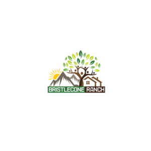 Logo-Design von softvitals für dieses Projekt | Design: #19116954