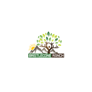 Logo-Design von softvitals für dieses Projekt | Design: #19116955