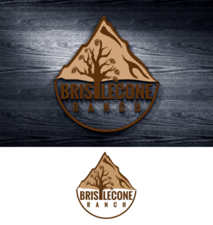 Design de Logo par Impressive Solutions pour ce projet | Design : #19102975