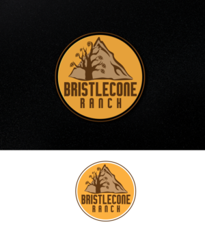 Design de Logo par Impressive Solutions pour ce projet | Design : #19102976