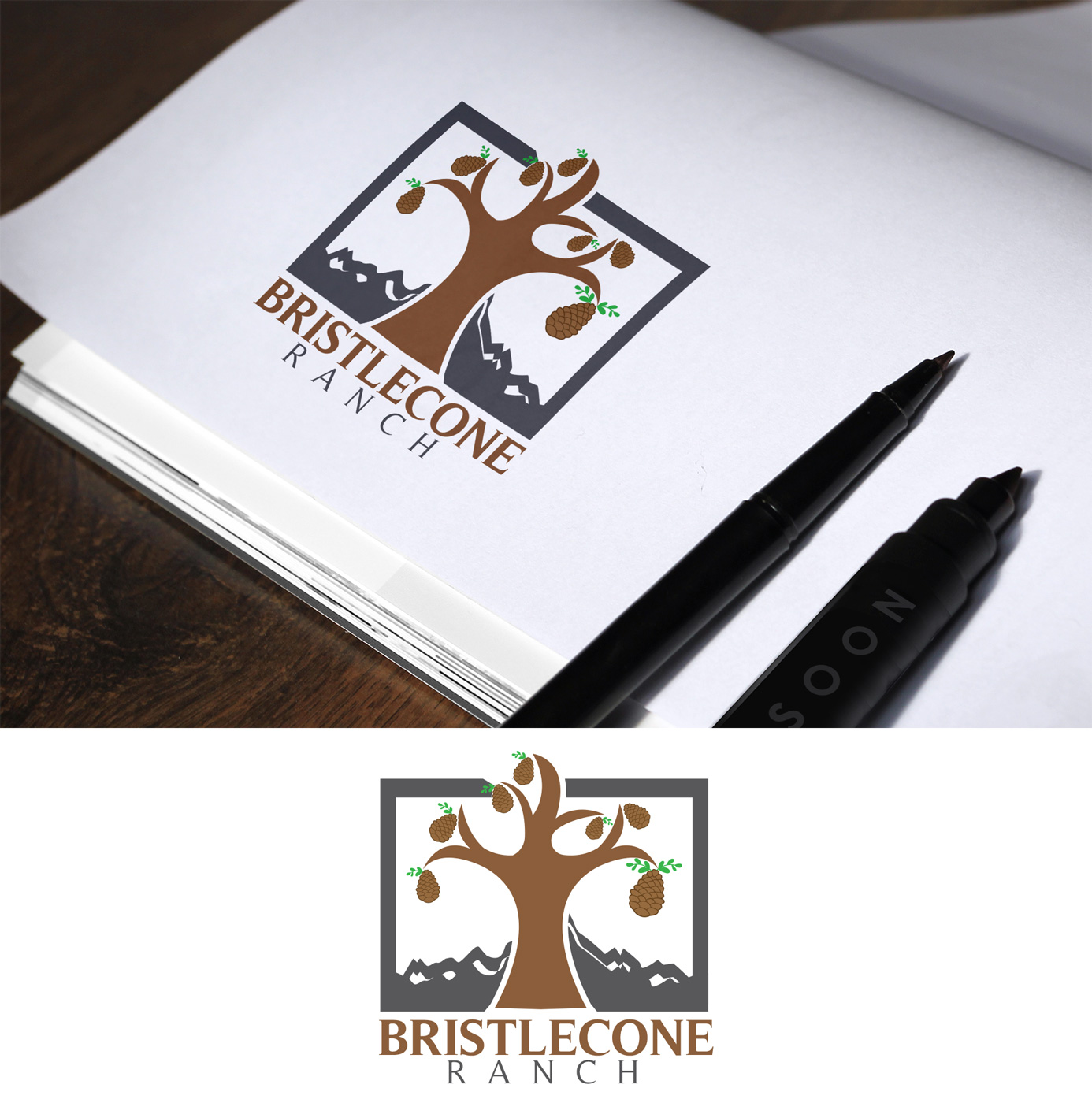 Design de Logo par Impressive Solutions pour ce projet | Design #19102977