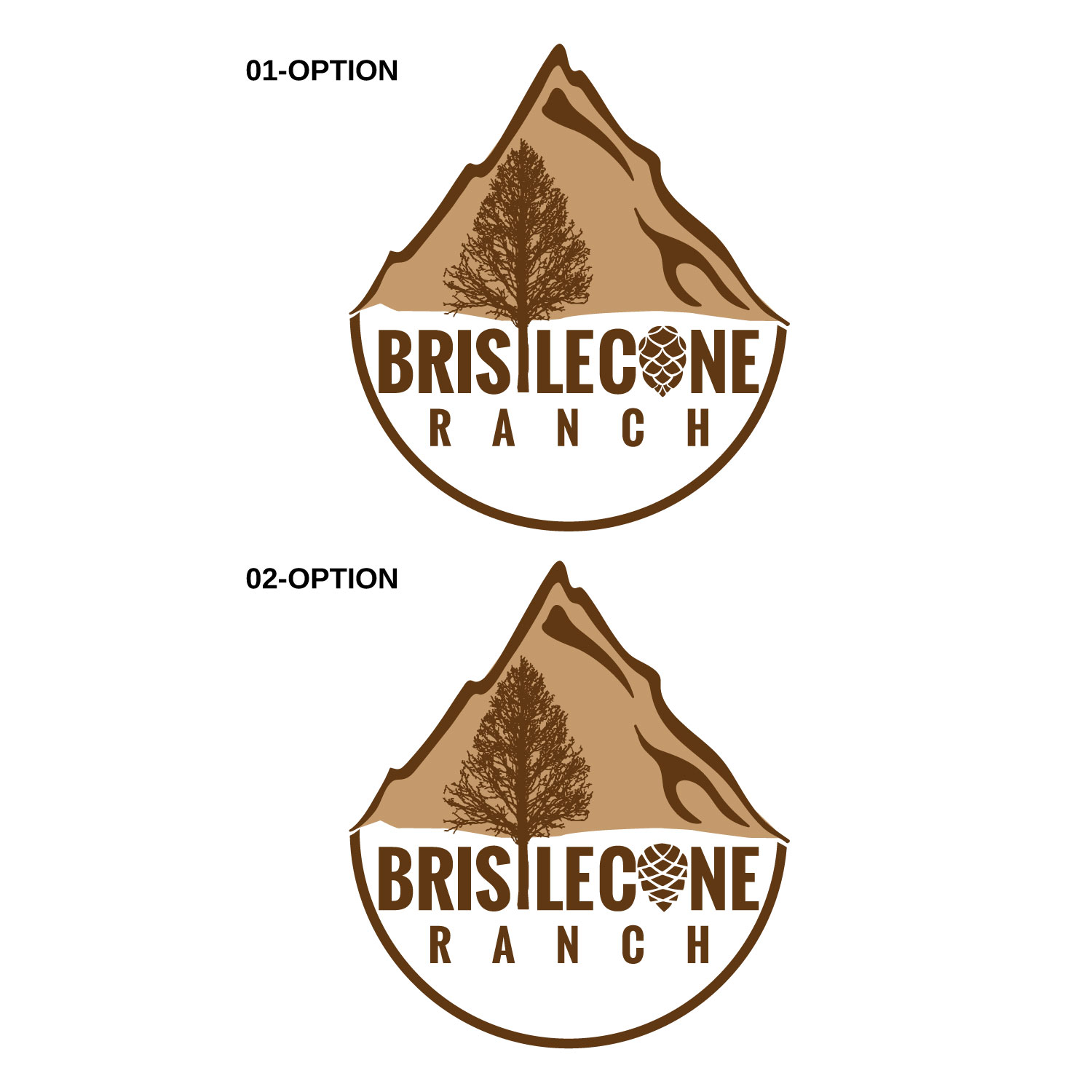 Logo Design by Impressive Sol for this project | Design #19115885