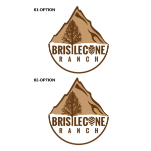 Logo-Design von Impressive Sol für dieses Projekt | Design #19115885