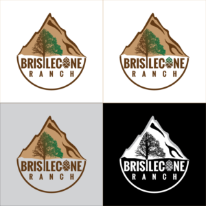 Design de Logo par Impressive Solutions pour ce projet | Design : #19128409