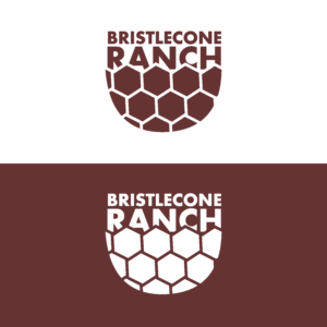 Logo-Design von hernawanrere für dieses Projekt | Design #19102310