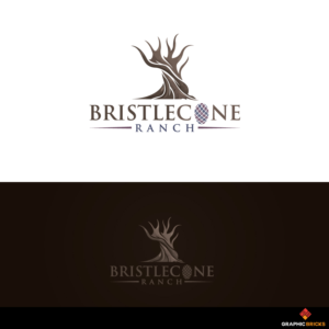 Logo Design by Graphic Bricks