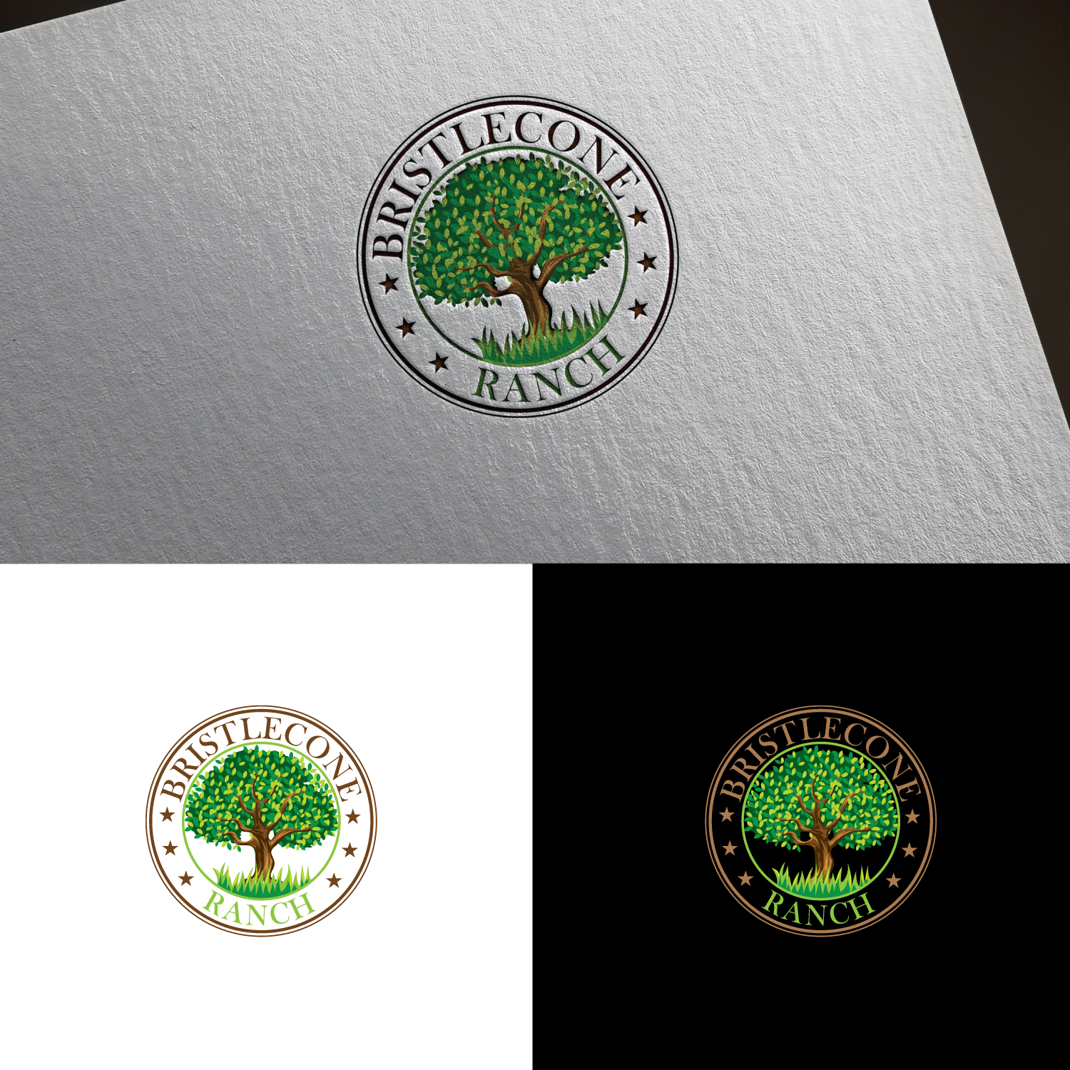Logo Design by sankar999 for this project | Design #19118547