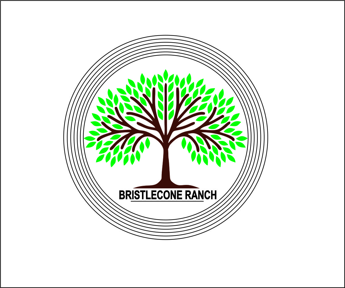 Logo Design by lhduong3 for this project | Design #19105577