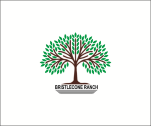 Diseño de Logo por lhduong3 para este proyecto | Diseño: #19114378