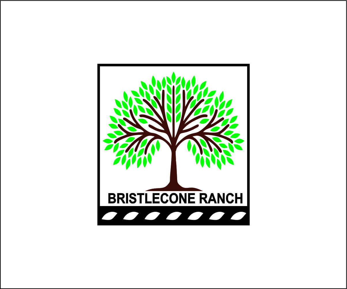 Logo Design by lhduong3 for this project | Design #19114398