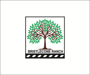 Diseño de Logo por lhduong3 para este proyecto | Diseño: #19114398