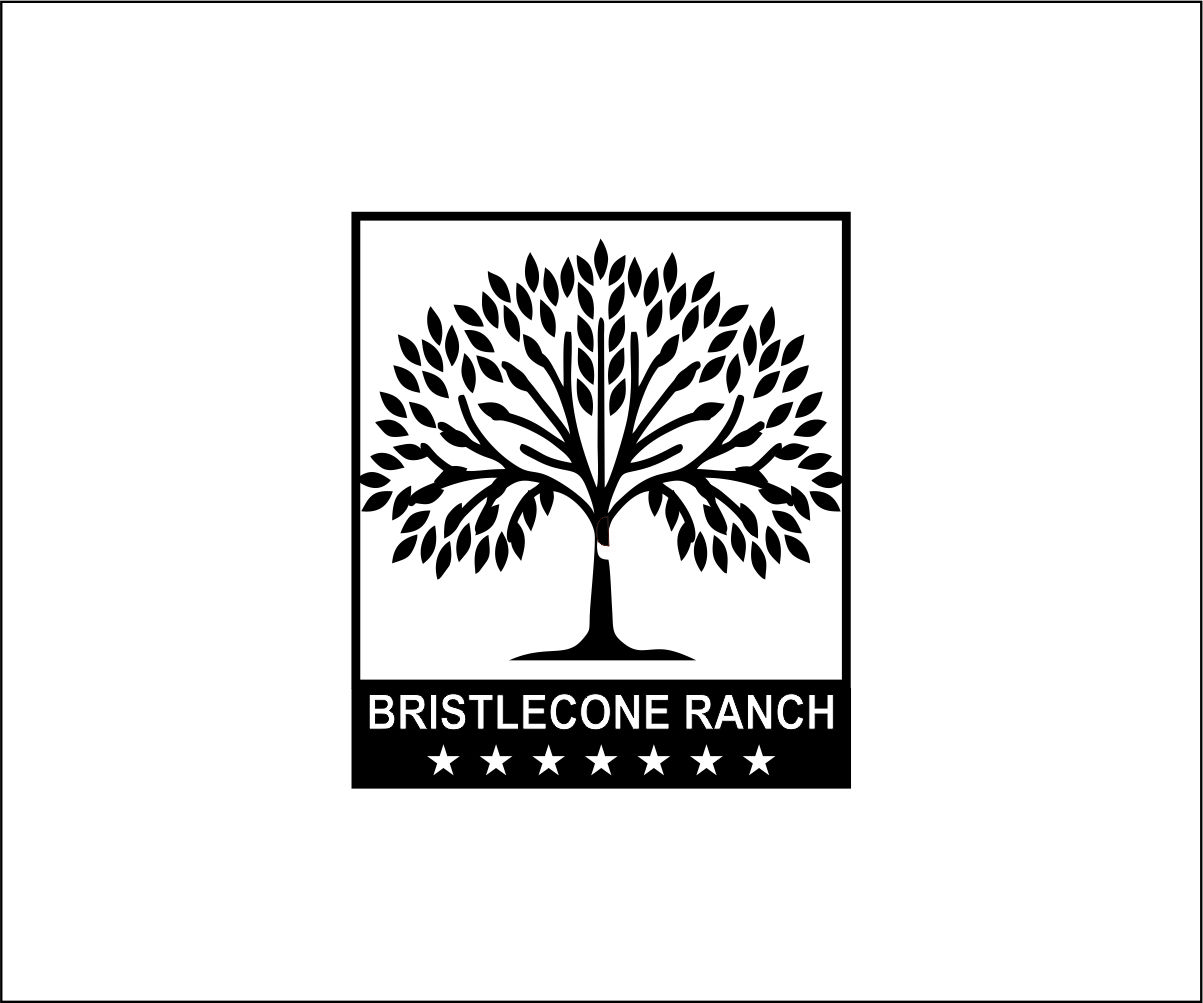 Logo Design by lhduong3 for this project | Design #19114714