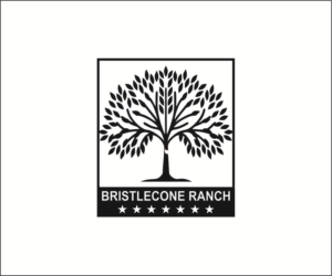 Diseño de Logo por lhduong3 para este proyecto | Diseño: #19114714