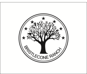 Diseño de Logo por lhduong3 para este proyecto | Diseño: #19114852