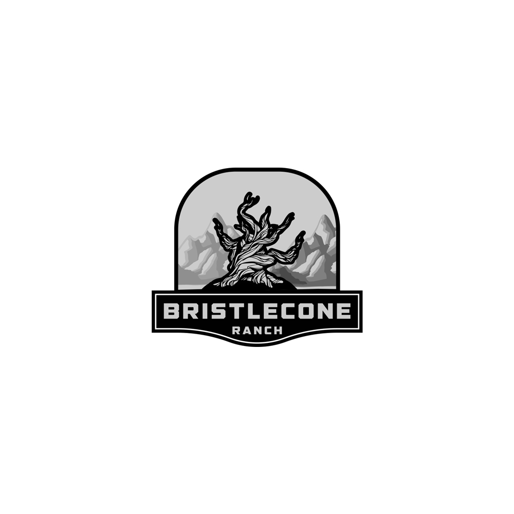 Diseño de Logo por bull_design para este proyecto | Diseño #19104238