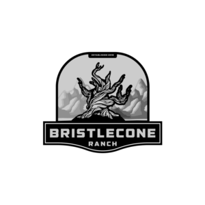 Logo-Design von bull_design für dieses Projekt | Design: #19110637