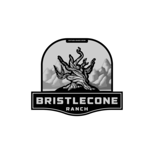 Logo-Design von bull_design für dieses Projekt | Design: #19110905