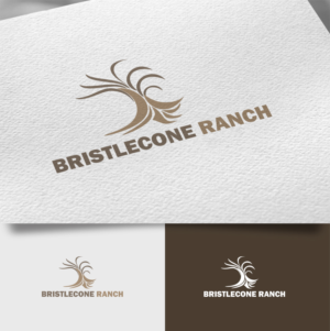 Logo-Design von rafaeldsgn für dieses Projekt | Design: #19106987