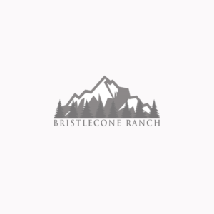 Logo Design by Feji hadiansyah