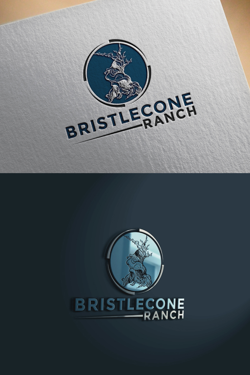 Logo Design by Tasnova 2 for this project | Design #19102500