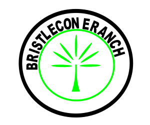 Logo Design by Mohammed 26