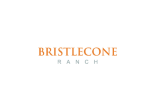 Logo Design by ThePirate