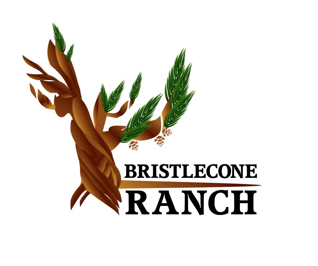 Logo Design by In Her Own Space for this project | Design #19124155