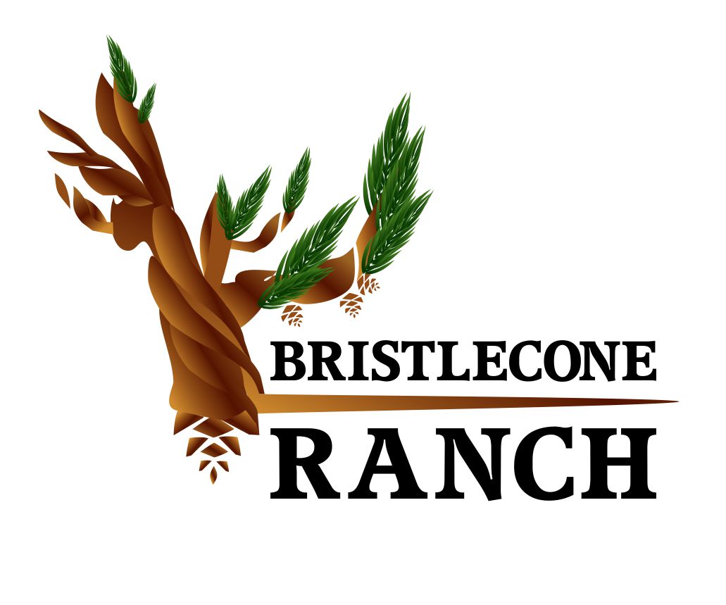 Design de Logo par In Her Own Space pour ce projet | Design #19157313