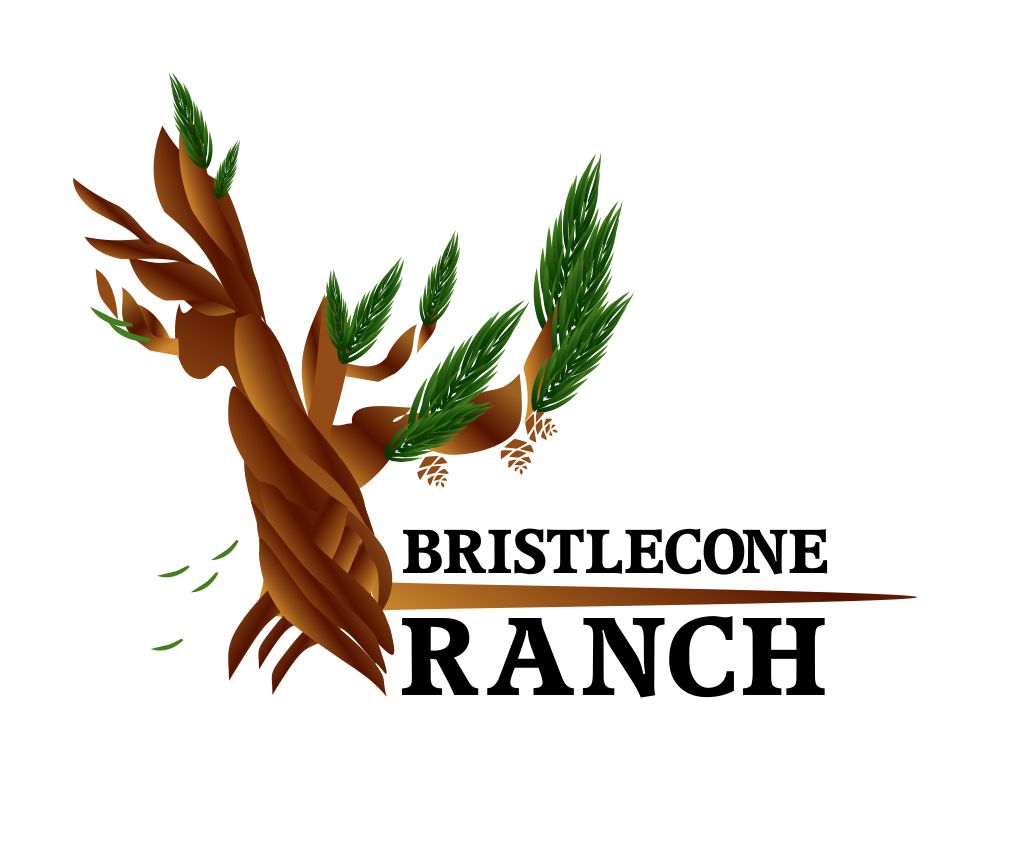 Logo Design by In Her Own Space for this project | Design #19157314