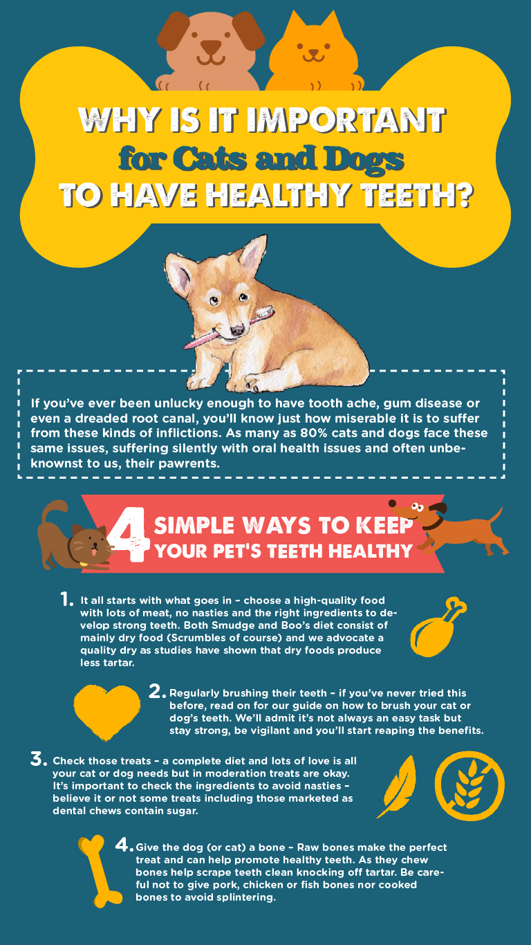 Infographic Design by AntonioTruong for this project | Design #19144594