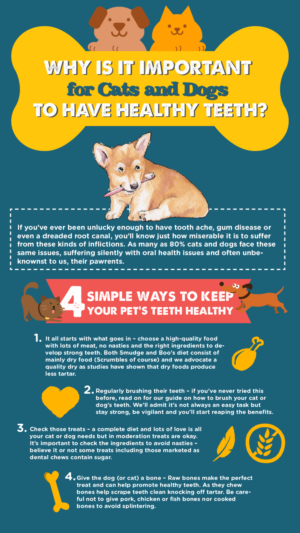 Infographic Design by AntonioTruong