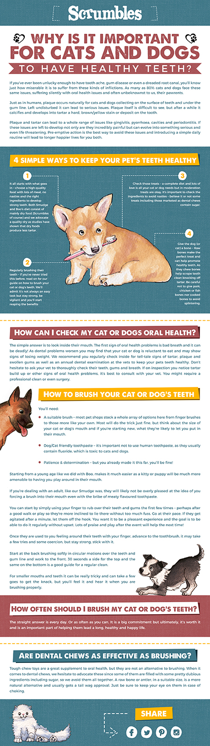 Infographic Design by SAI DESIGNS for this project | Design #19122517