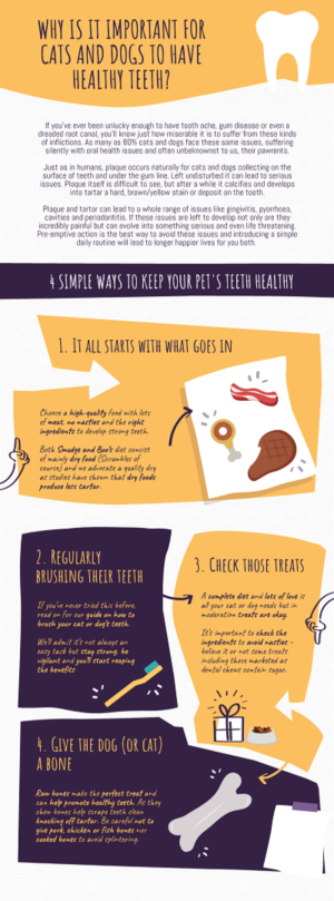 Infographic Design by kimcuteching